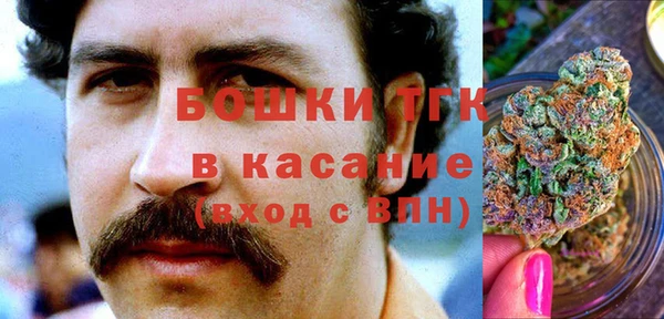 ПСИЛОЦИБИНОВЫЕ ГРИБЫ Алзамай