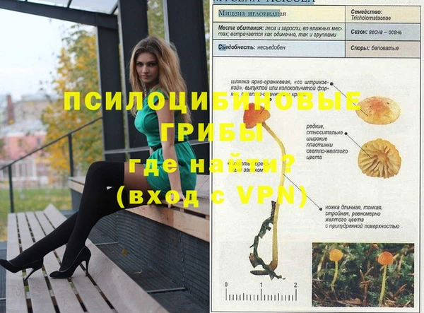 ПСИЛОЦИБИНОВЫЕ ГРИБЫ Алзамай