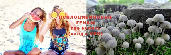MDMA Алексеевка