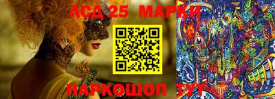 дмт Бердск