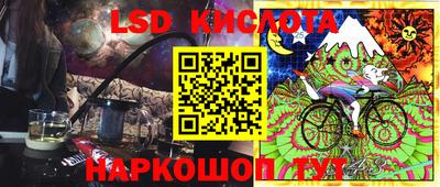крисы Братск