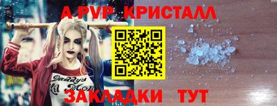 дмт Бердск