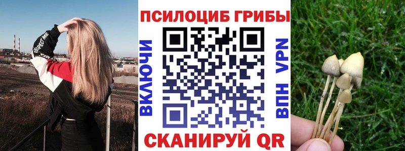 OMG ONION  Лиски  Псилоцибиновые грибы мицелий 